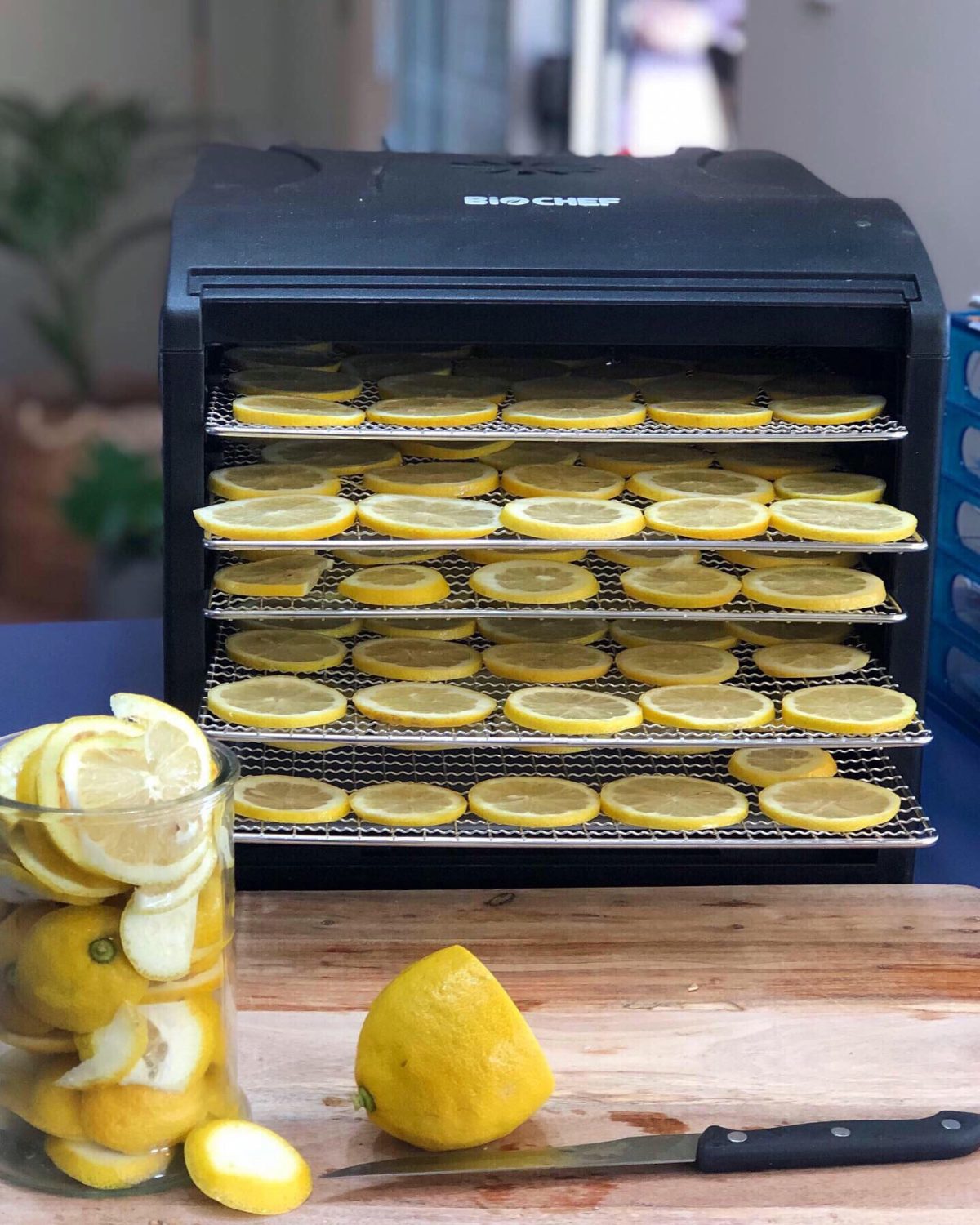 Dehydrated Lemons to Preserve your Crop