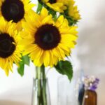 Plastic-free July