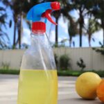 DIY Citrus Cleaner