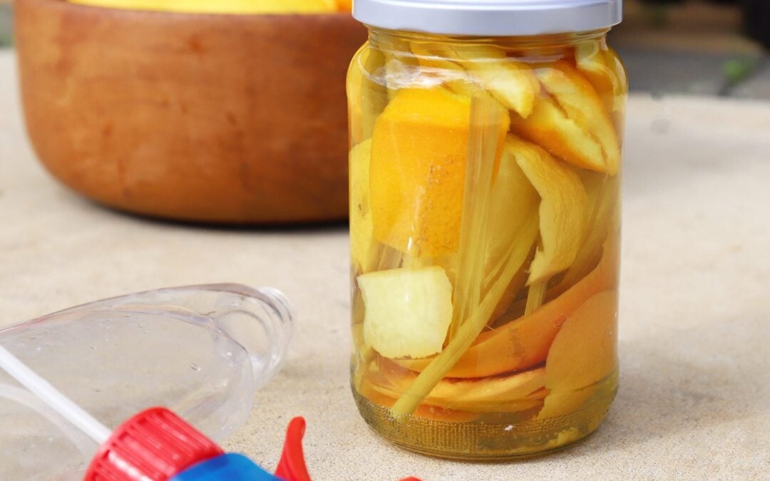 DIY Citrus Cleaner