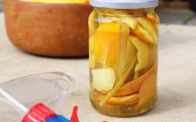 DIY Citrus Cleaner