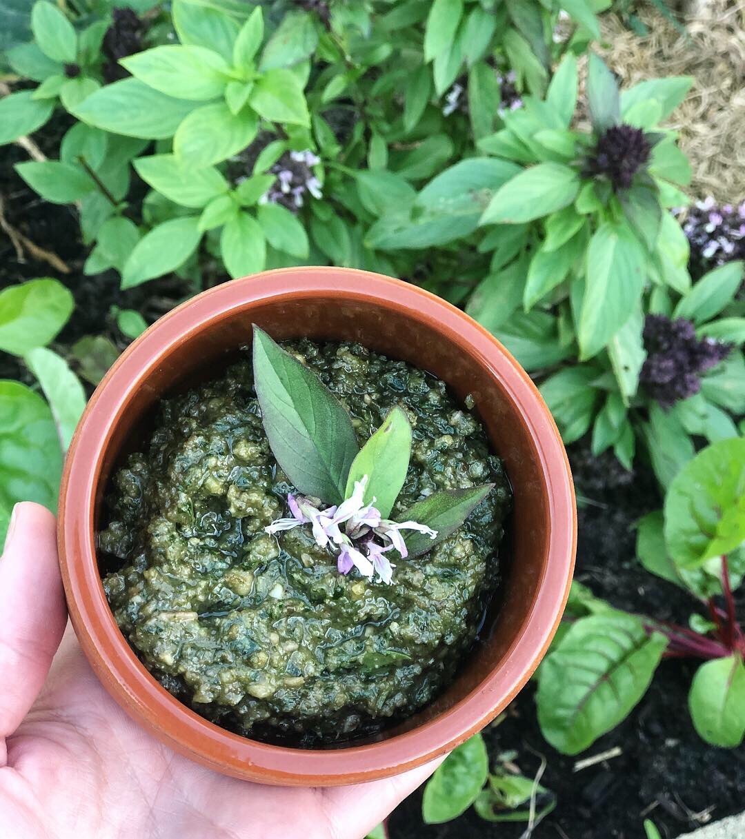 garden pesto