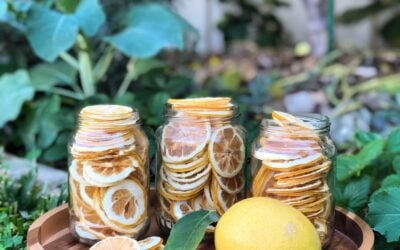 Dehydrated Lemons