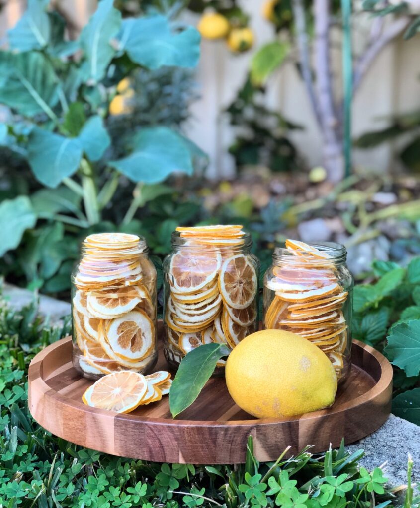 dehydrated lemons