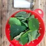 Nasturtiums