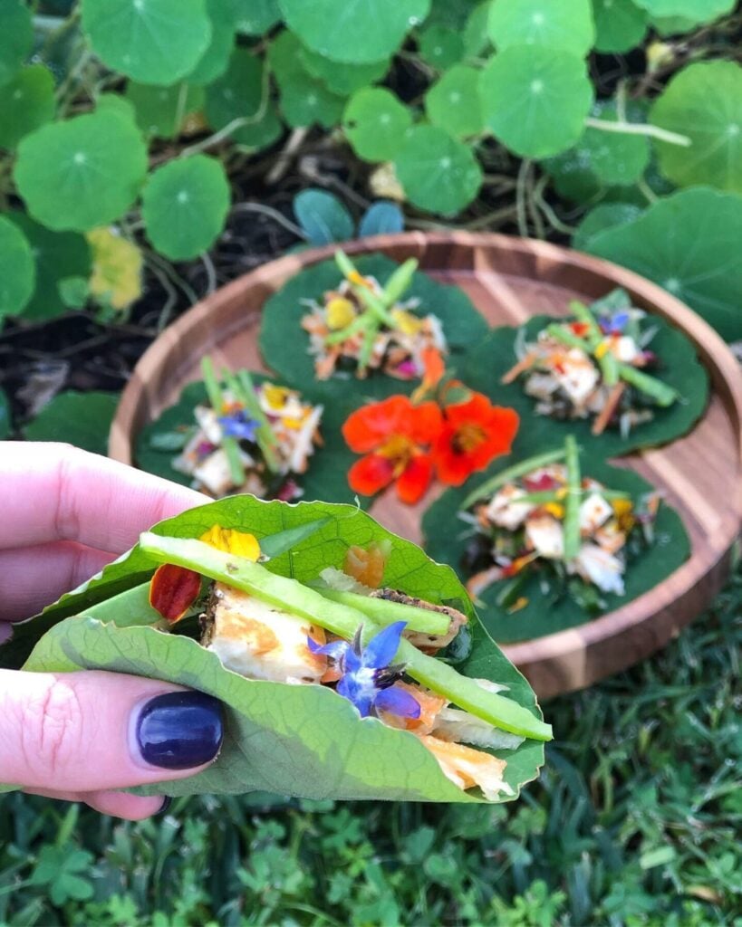 nasturtium wraps