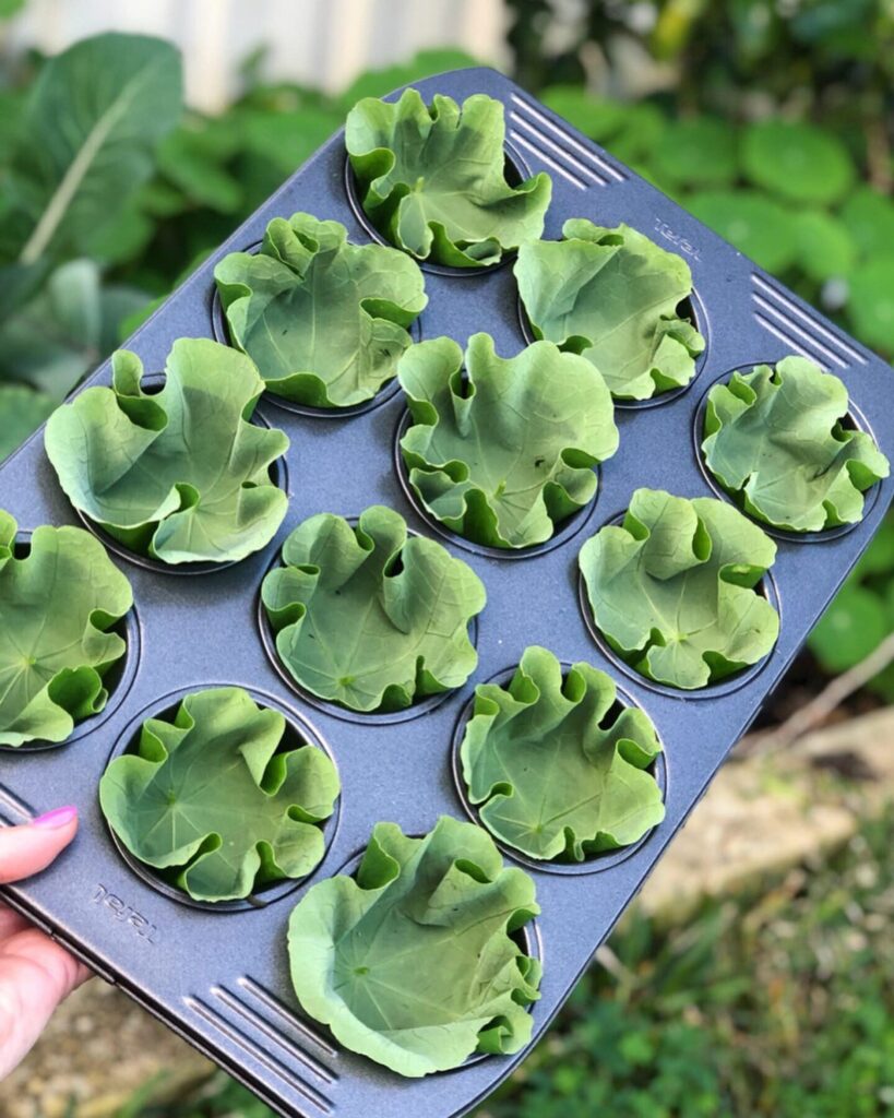 Sustainable Casings