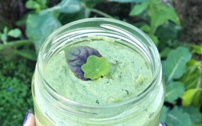 Garden Pesto