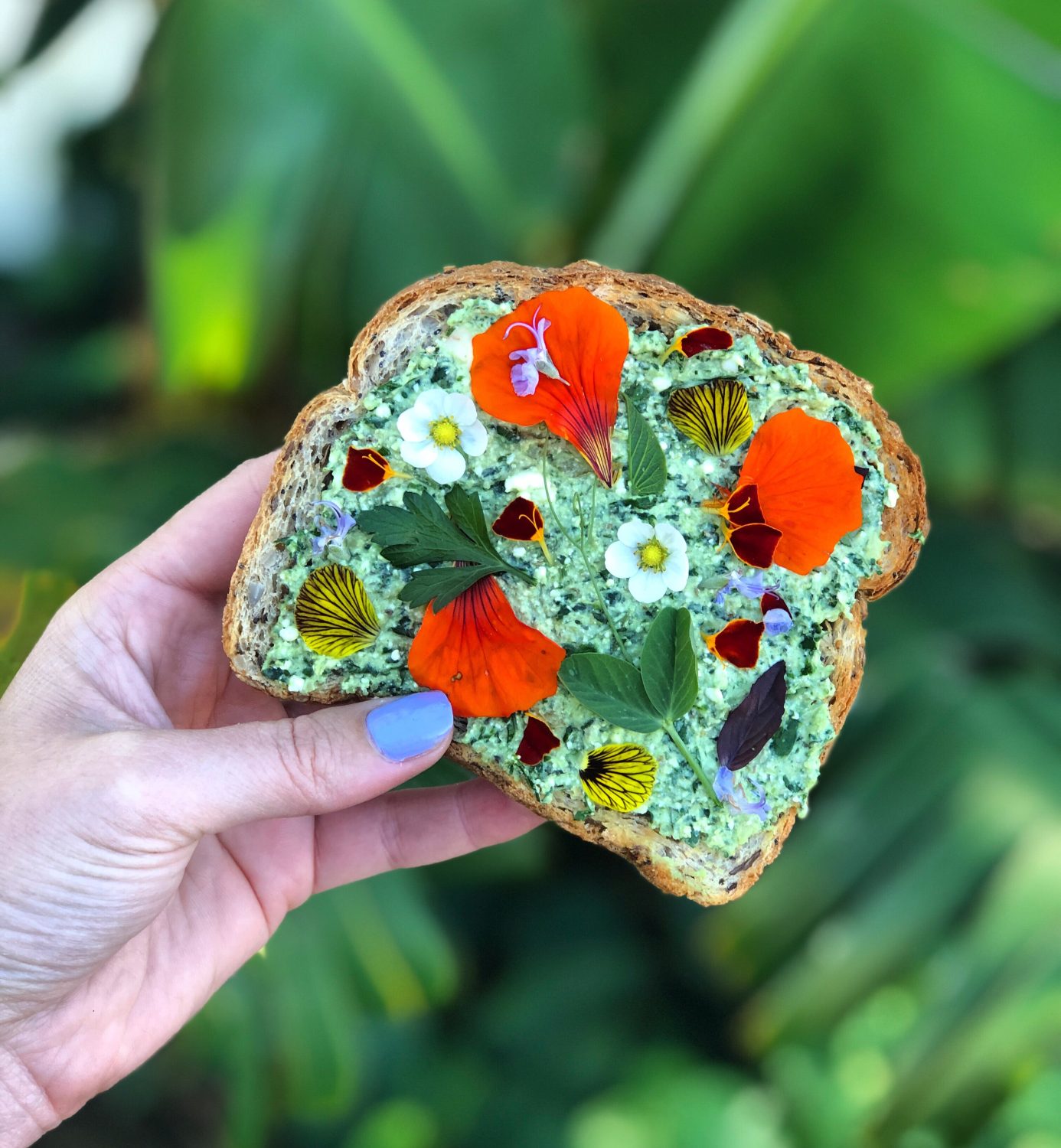 edible flower toast