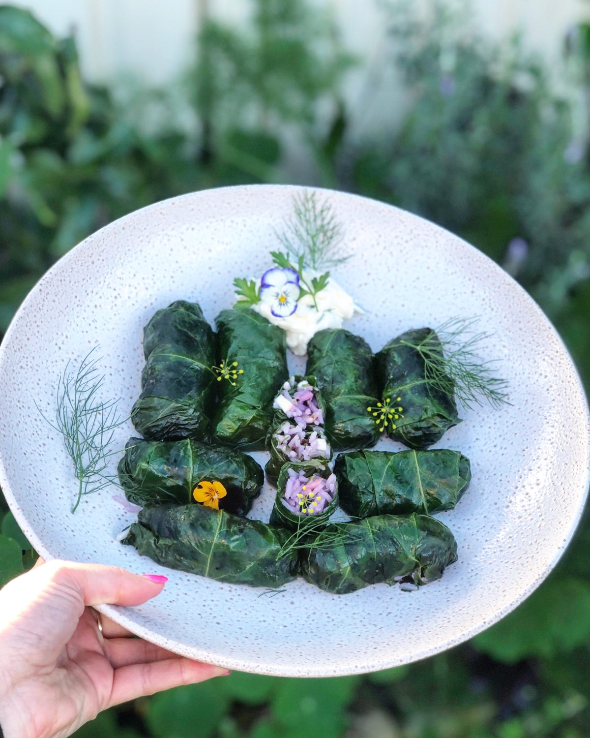 beetroot leaf dolmades