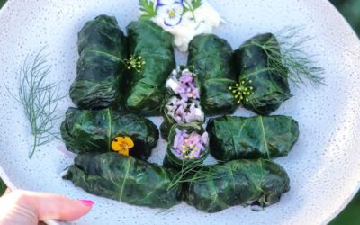 Beetroot Leaf Dolmades