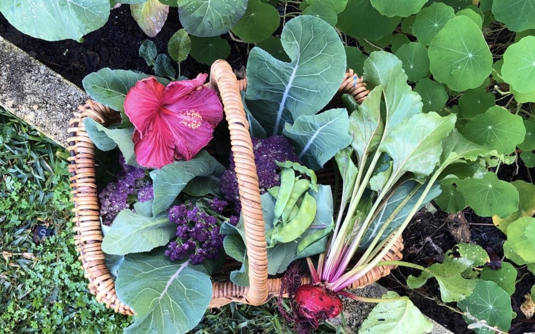 8 Ways to Grow and Purchase Toxic Free Fruit and Vegetables