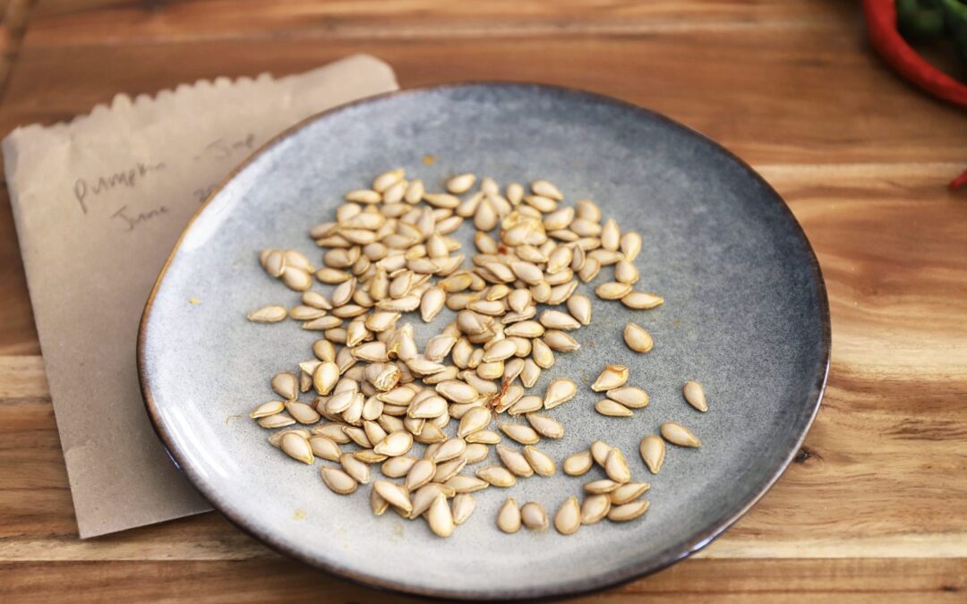 Beginners Guide to Saving Seeds