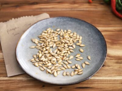 Beginners Guide to Saving Seeds