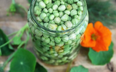 Nasturtium Capers