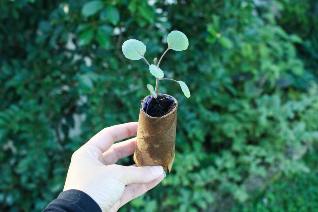 sustainable living membership