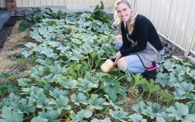 Urban Permaculture Garden Tour
