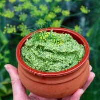 fennel frond pesto