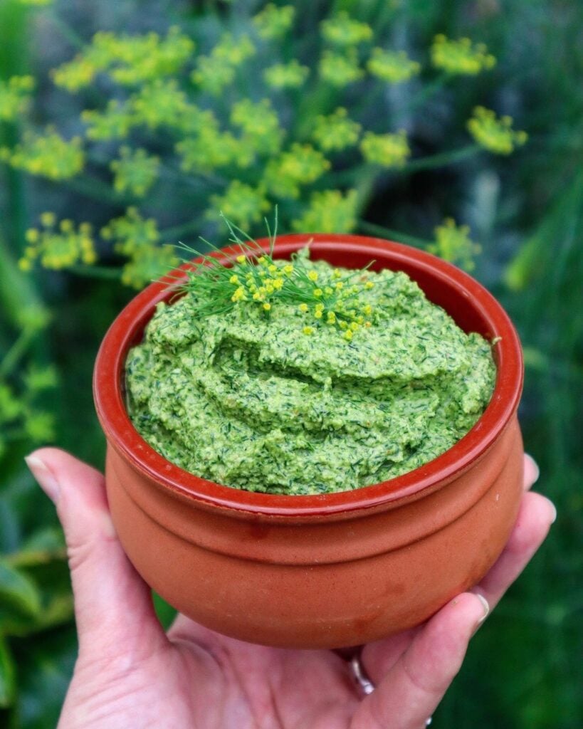 fennel frond pesto