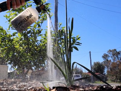 Make your own Weed Tea Fertiliser
