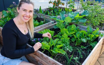 10 Edible Plants to Sow in March – Autumn Garden