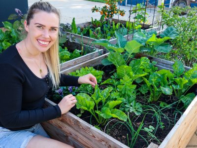 10 Edible Plants to Sow in March – Autumn Garden