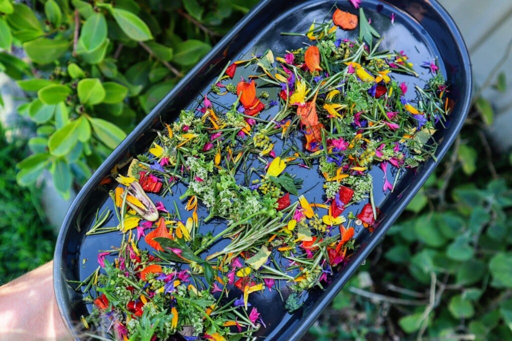 preserve flowers