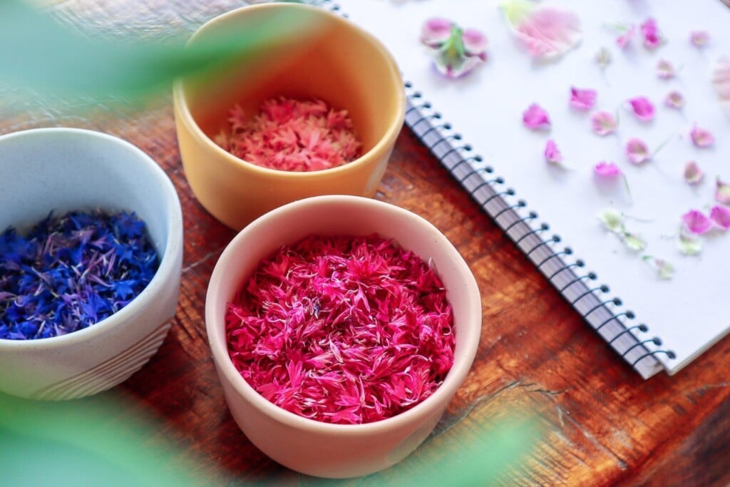 edible flowers