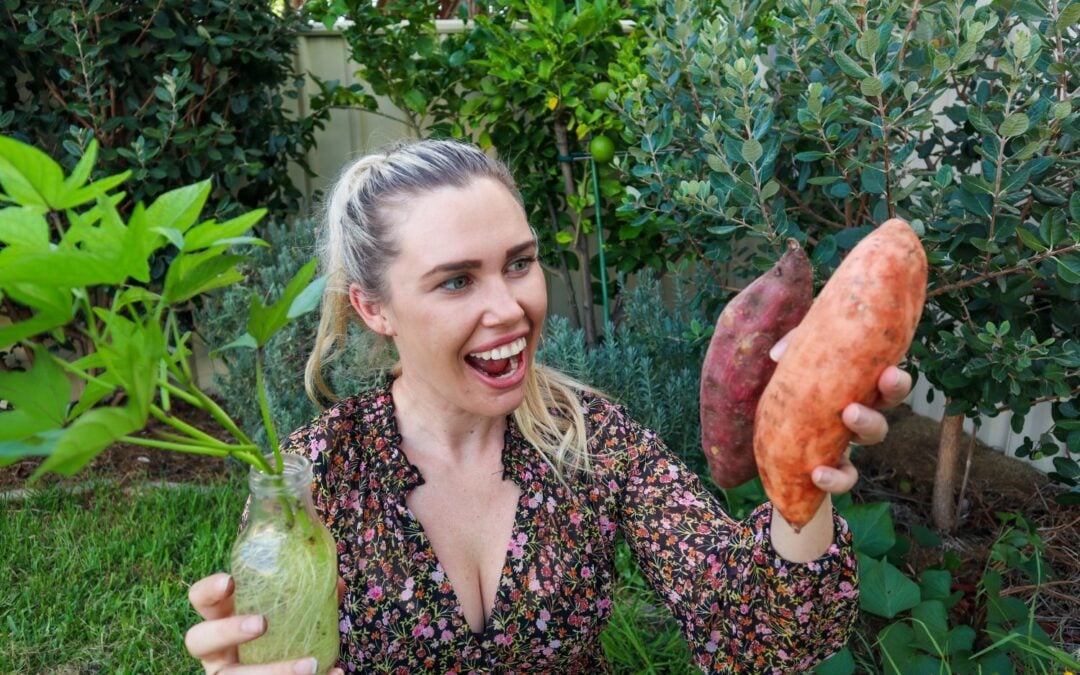 12 Reasons to Start Growing Sweet Potatoes