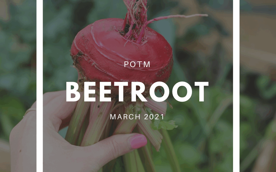 Beetroot