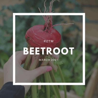 Beetroot