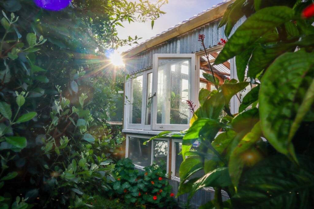 diy greenhouse from recycled windows