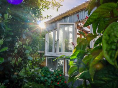 DIY Greenhouse Built from Recycled Windows