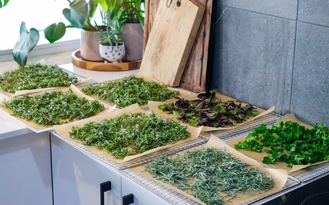 Preserving Herbs from the Garden