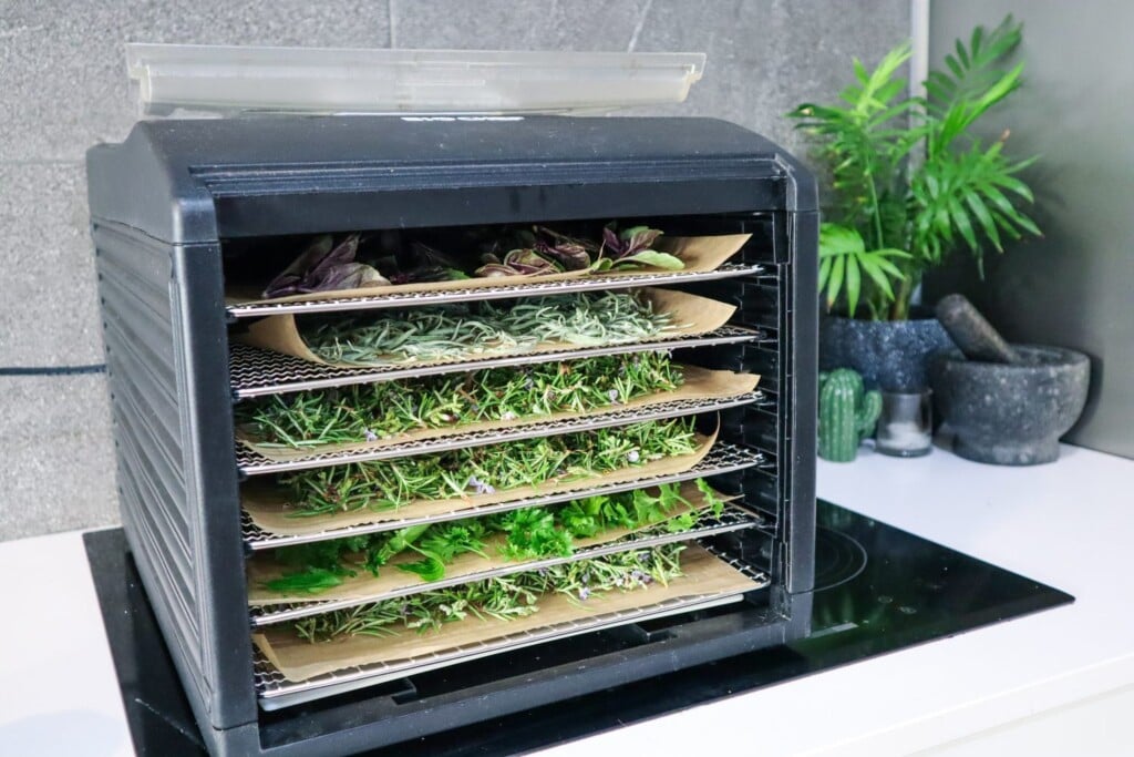 dehydrator