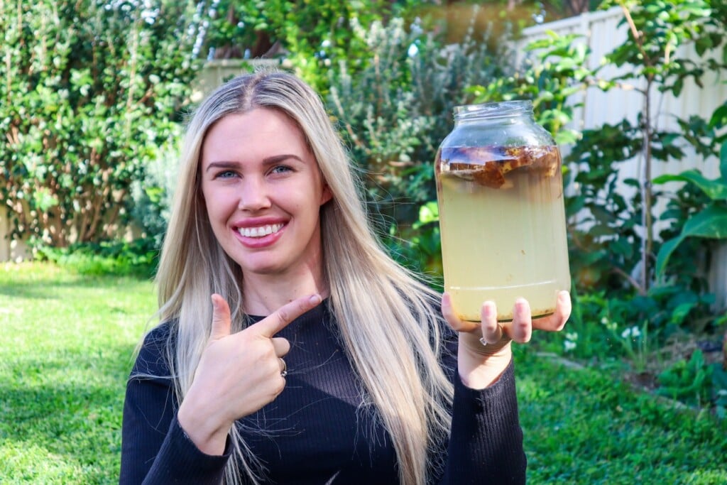 homemade organic fertilizer