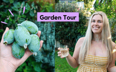 Urban Permaculture Garden Tour 2021