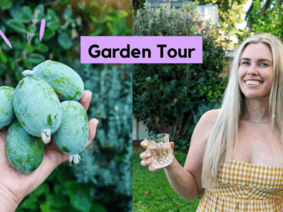 Urban Permaculture Garden Tour 2021