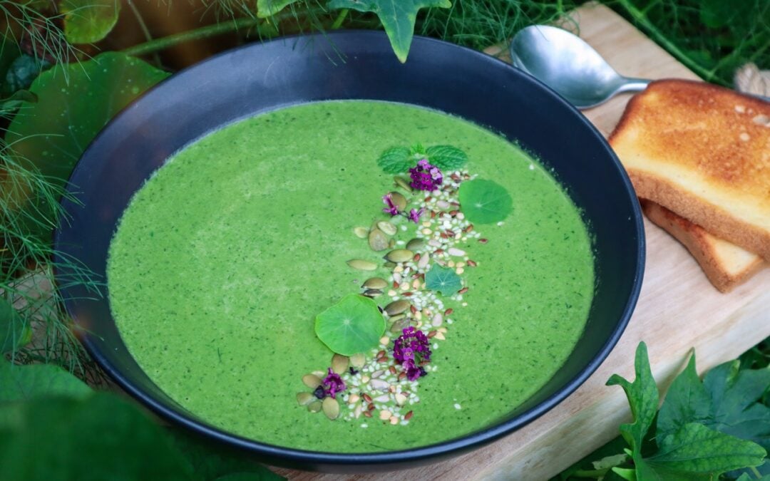 Nourishing Garden Green Soup