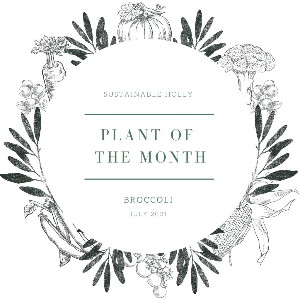 plant of the month July