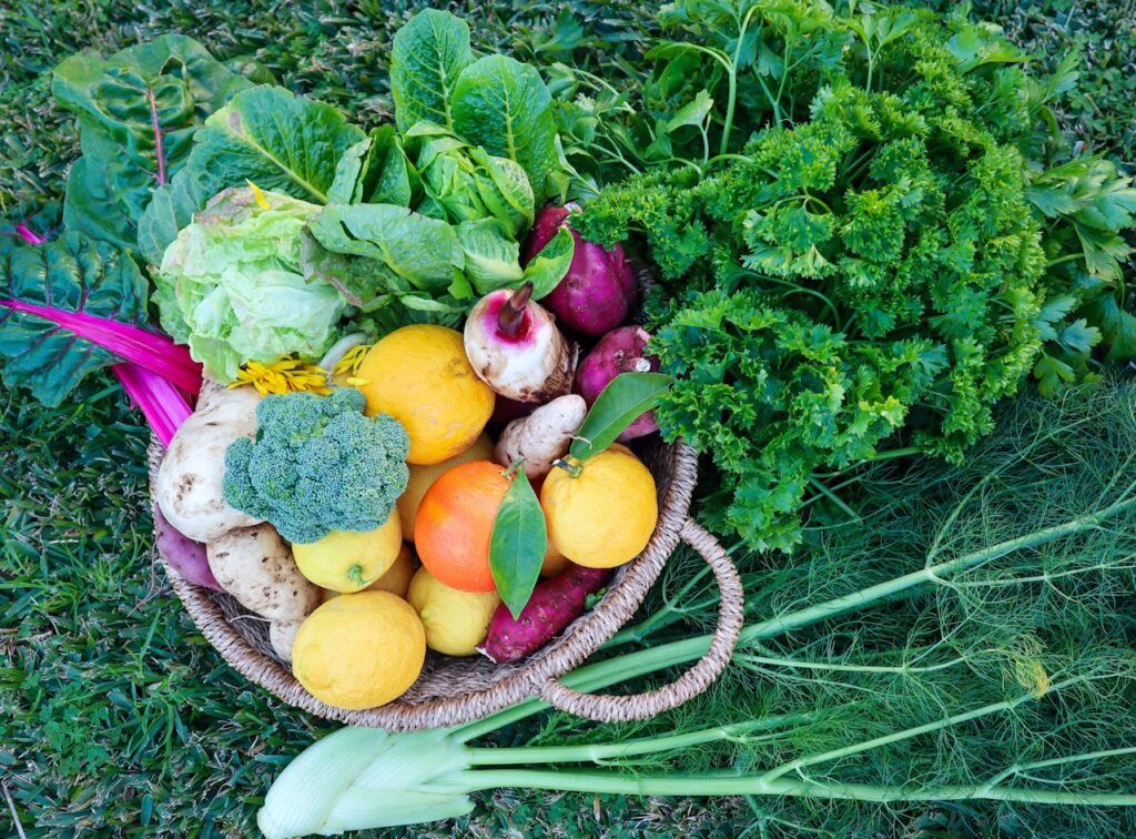 sustainable permaculture garden
