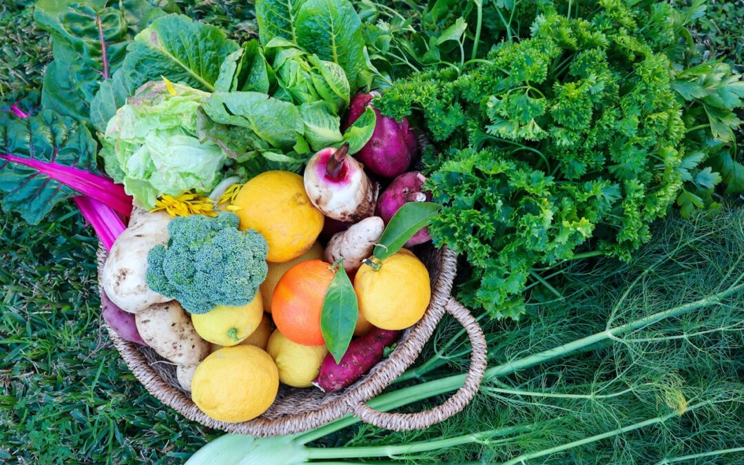 10 ways to become more Self-sufficient right NOW