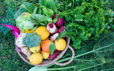 10 ways to become more Self-sufficient right NOW