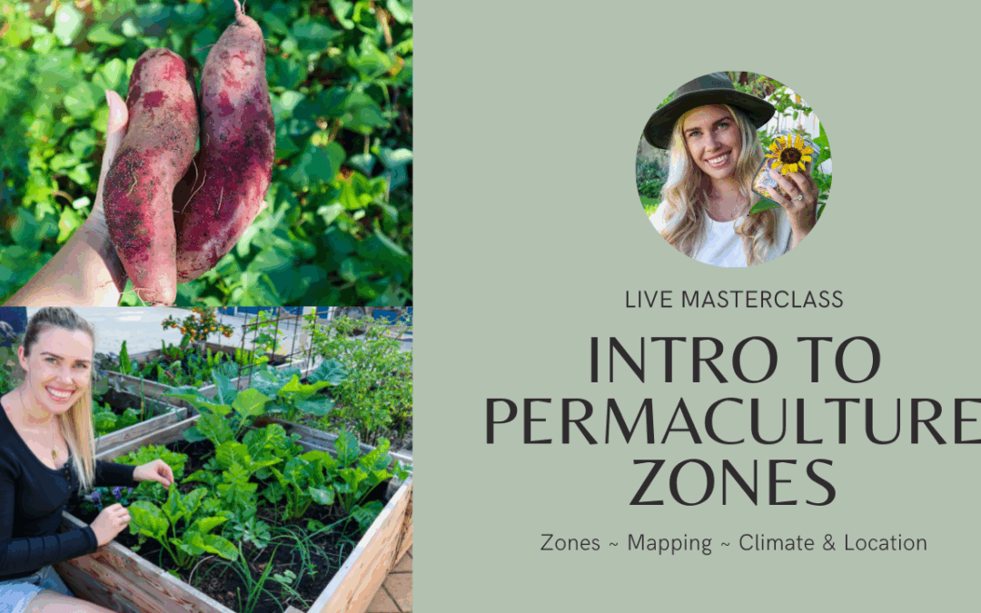 Masterclass 1: Introduction to Permaculture Zones