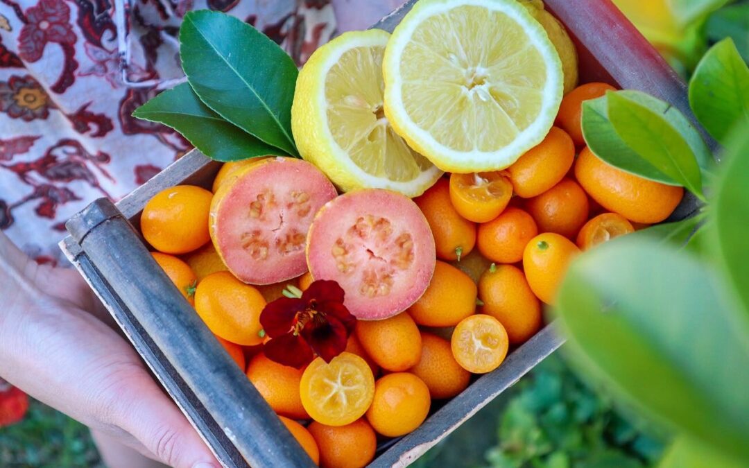 22 heat-tolerant edible plants to grow in HOT full-sun locations