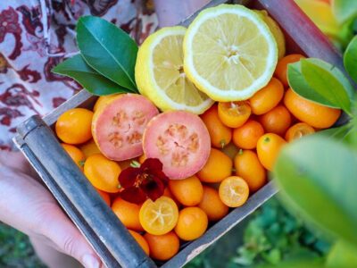 22 heat-tolerant edible plants to grow in HOT full-sun locations