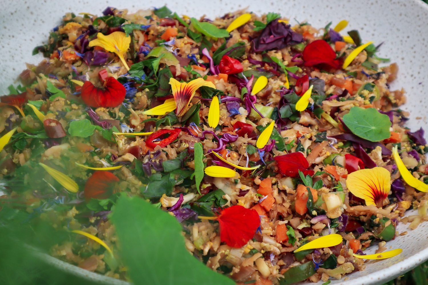 cauliflower fried rice