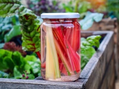 Quick Pickled Rainbow Chard Stalks