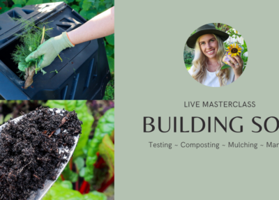 How to Build Healthy Soil for a Sustainable Garden