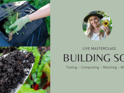How to Build Healthy Soil for a Sustainable Garden